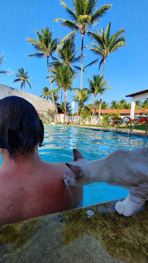 Gato Do Mato Hostel Cumbuco Kültér fotó